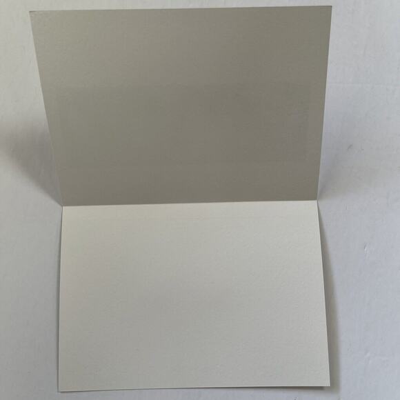 Leanin Tree Blank Greeting Cards Younger Gangs Last Raid Cowboy Cats Lot Of 5 - Picture 5 of 5